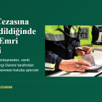 Trafik Cezasına İtiraz Edildiğinde Ödeme Emri Meselesi Hakkında Danıştay Kararı