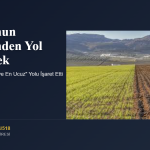 Komşunun Arazisinden Yol Geçirmek: Yargıtay “En Kısa ve En Ucuz” Yolu İşaret Etti