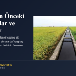 1956 Öncesi El Atma Tazminatı ve Yargıtay 5. Hukuk Dairesi’nden Güncel Karar